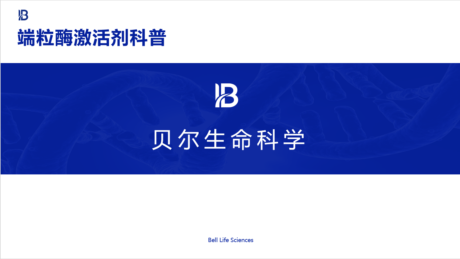 BELL-端粒酶激活剂科普